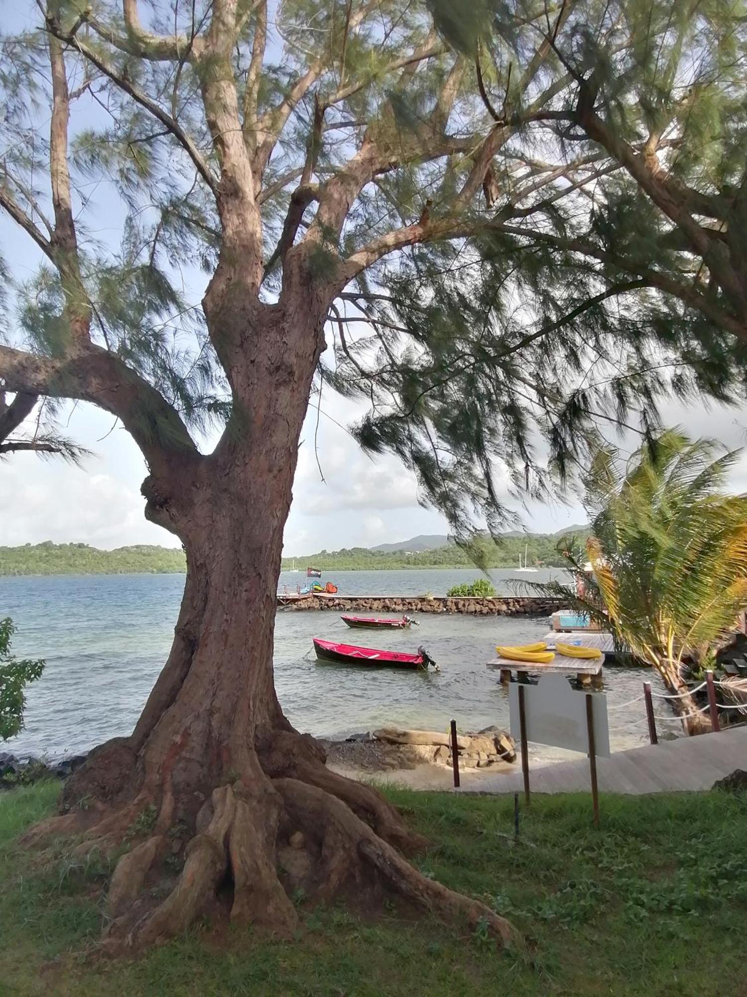 Charmant T1 Avec Vue Sur Marina เลส์ทรัวส์-ซีเลต์ ห้อง รูปภาพ